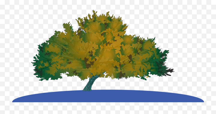 Grow The Actual Survivor Tree Jonsteen Company - Maple Png,Tree Illustration Png