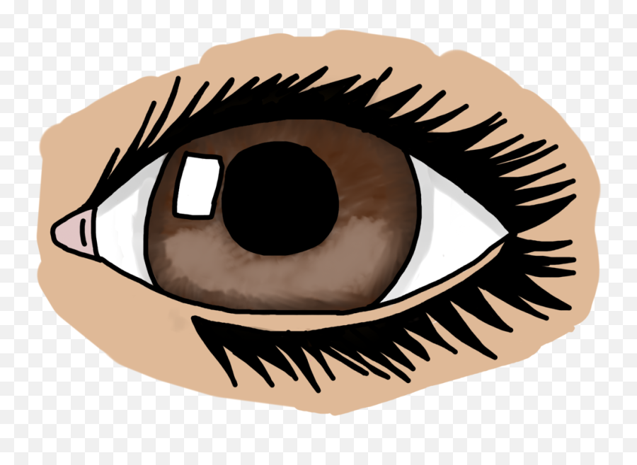 Eyelash Clipart - Realistic Eyes Clipart Png,Realistic Eye Png