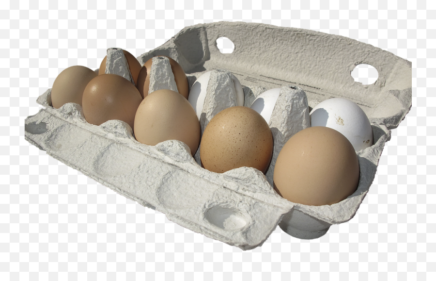 Egg Carton Lots Of Eggs - Carton Of Eggs Transparent Png,Eggs Transparent Background