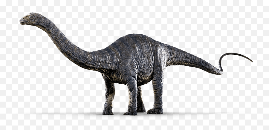 Jurassic World Evolution Transparent - Apatosaurus Size Png,Jurassic World Evolution Logo