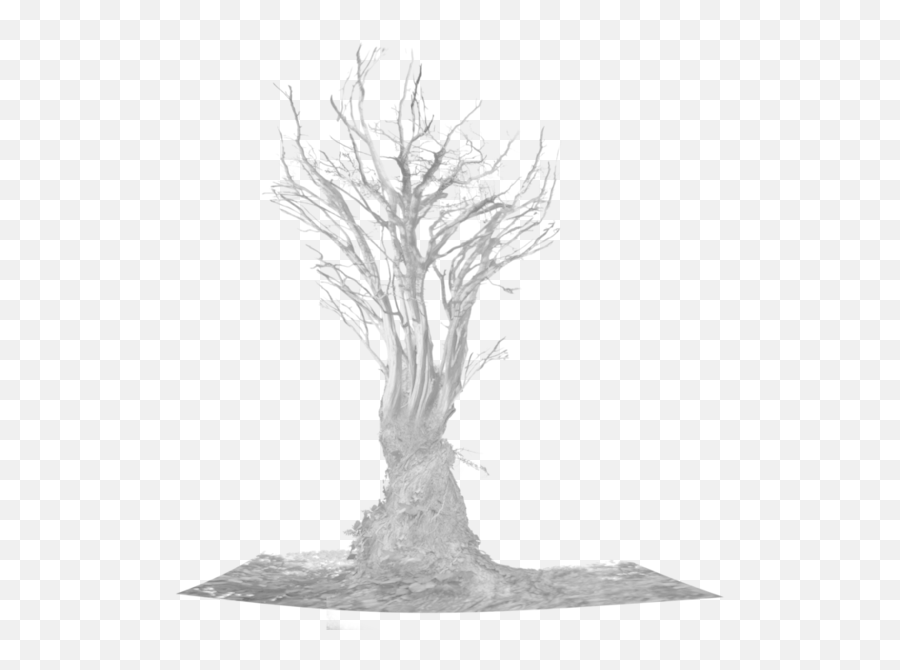 Dead Tree - Root Tree Png,Dead Tree Png