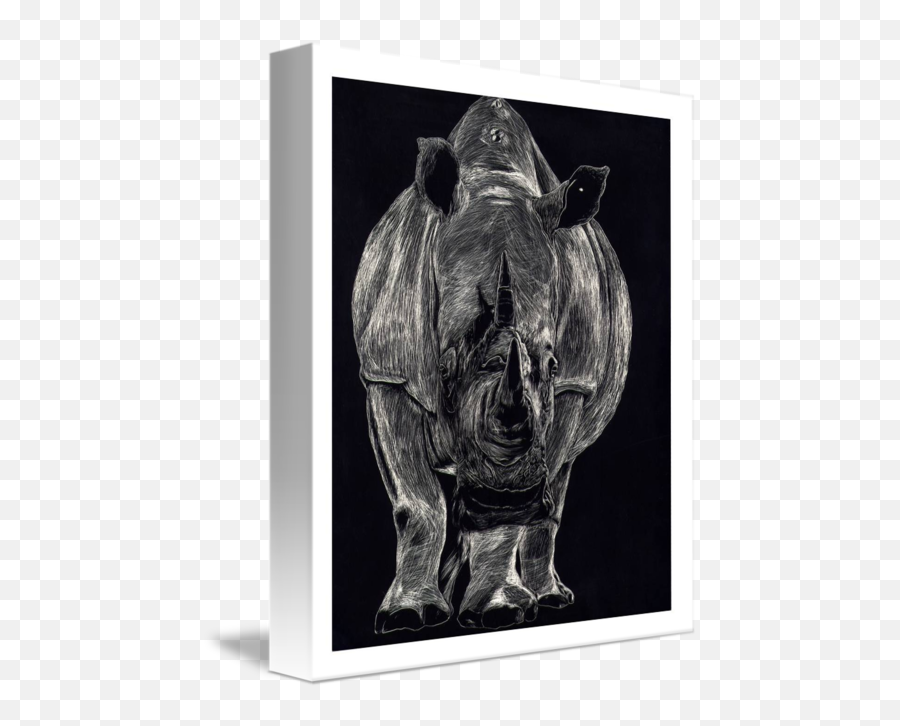 Rhino Scratch By Jason Marks - Black Rhinoceros Png,Scratch Marks Png