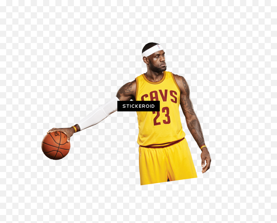 Lebron James - Basketball Moves Png,Mickie James Png