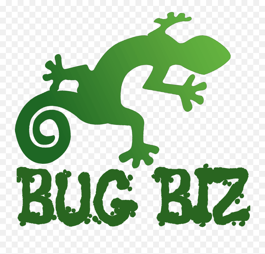 Bug Biz Reptile And Creepy Crawly Parties - Chameleon Chameleon Png,Chameleon Png