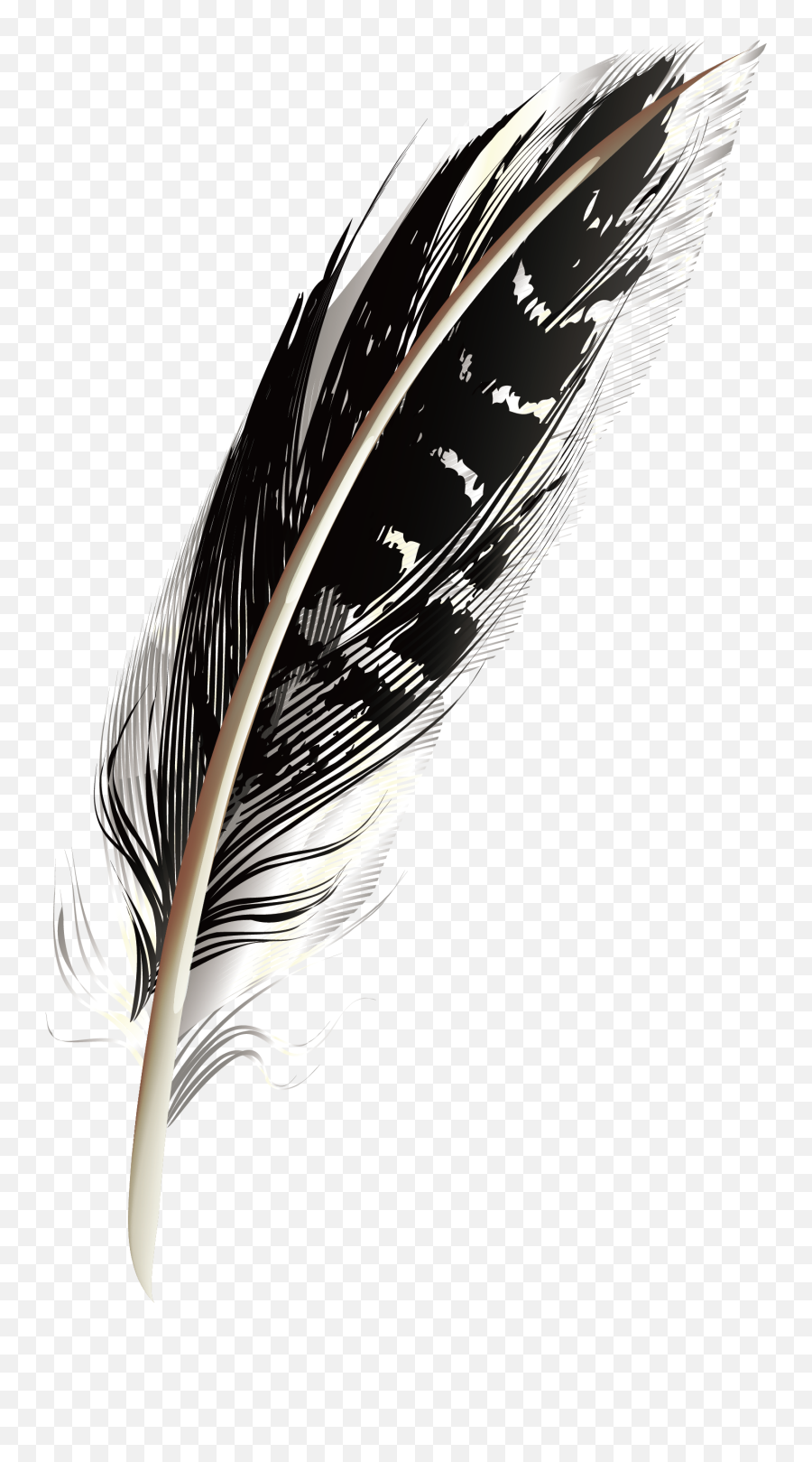 Feather - Black Feather Png,Black Feather Png
