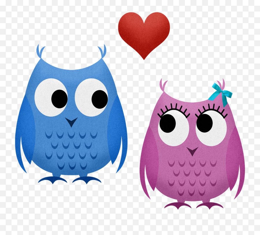 Owls Valentine Couple Boy And Girl - Frases Bonitas De Amor Para Mi Novio Png,Owls Png