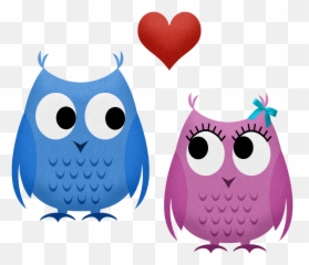 Owls Valentine Couple Boy And Girl - Frases Bonitas De Amor Para Mi Novio Png,Owls Png