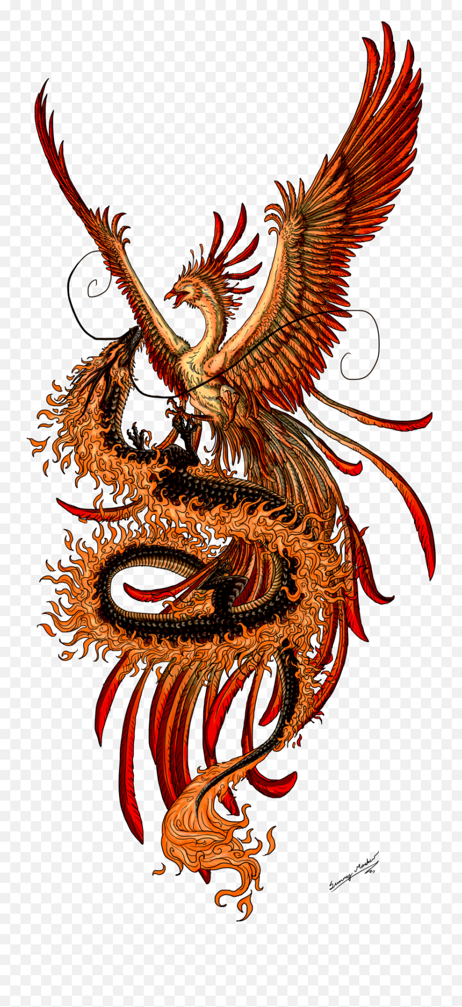 Dragon Tattoo Transparent Background - Phoenix And Dragon Tattoo Png,Dragon Tattoo Png