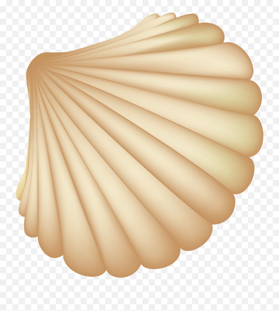 Seashell Computer File - Beach Shell Vector Png,Seashell Transparent