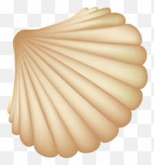 Seashell Computer File - Beach Shell Vector Png,Seashell Transparent