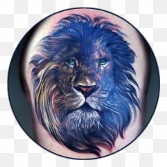 Lion Tattoo Designs U0026 Wallpapers - Apps Google Play Water png
