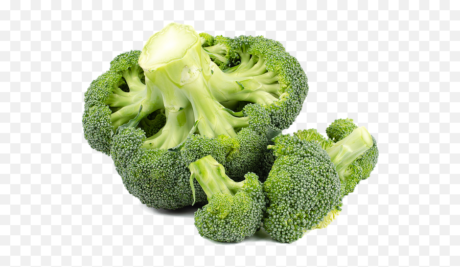 Free Photo Vegetables Food Broccoli Vegan Healthy Green - Superfood Png,Broccoli Transparent Background