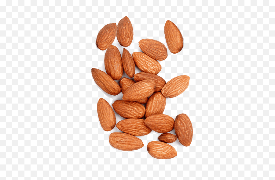Almonds U2013 Royalnutscoin - Fresh Png,Almond Png