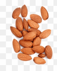 Almonds U2013 Royalnutscoin - Fresh Png,Almond Png