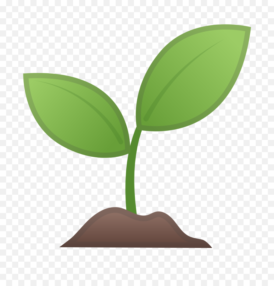 Seedling Emoji Meaning With Pictures - Emoji Planta Png,Leaf Emoji Png