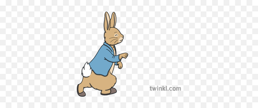 Peter Rabbit Profile Book Character Beatrix Potter Blue - Cartoon Png,Peter Rabbit Png