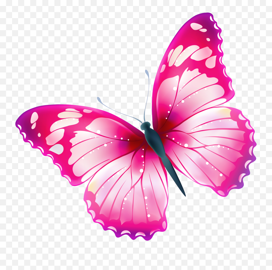 Butterfly Png Transparent Photo Play - Transparent Background Butterfly  Clipart Png,Butterfly Transparent - free transparent png images 