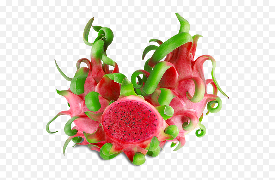 Red Flesh Dragon Fruit Queen - Trái Thanh Long Rut Png,Dragon Fruit Icon