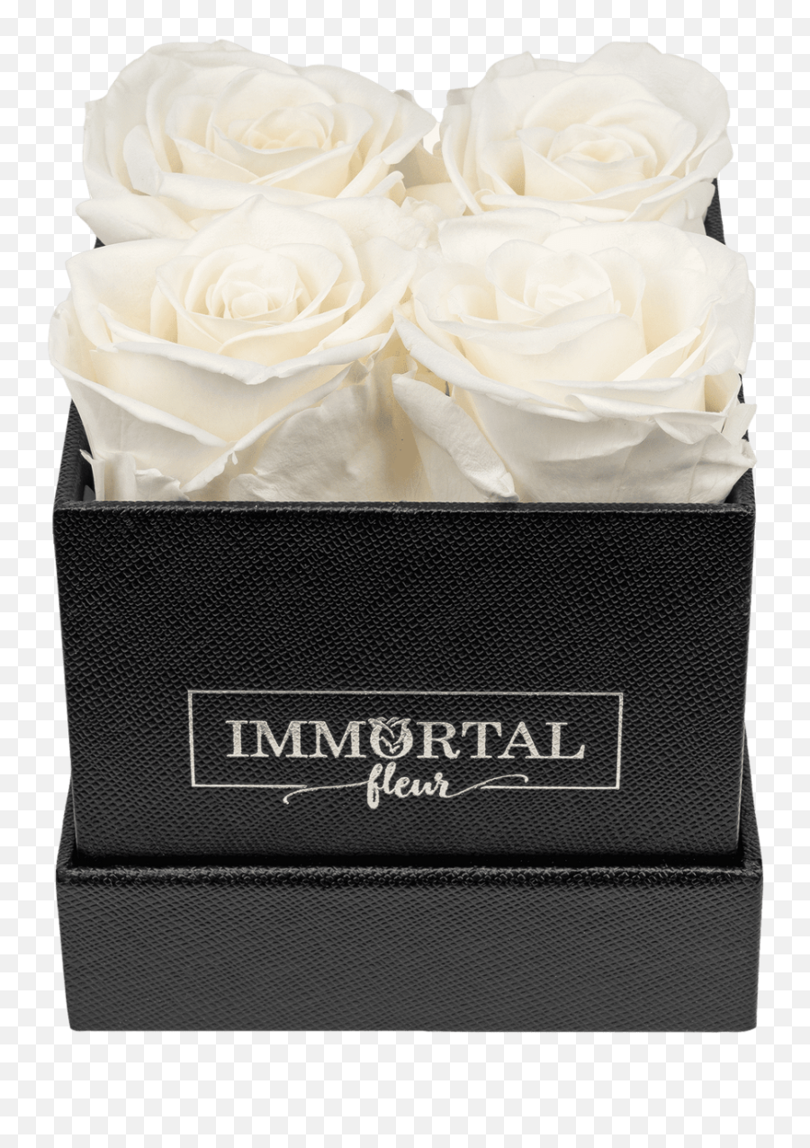 Immortal Fleur - Wedding Ceremony Supply Png,Black Rose Icon