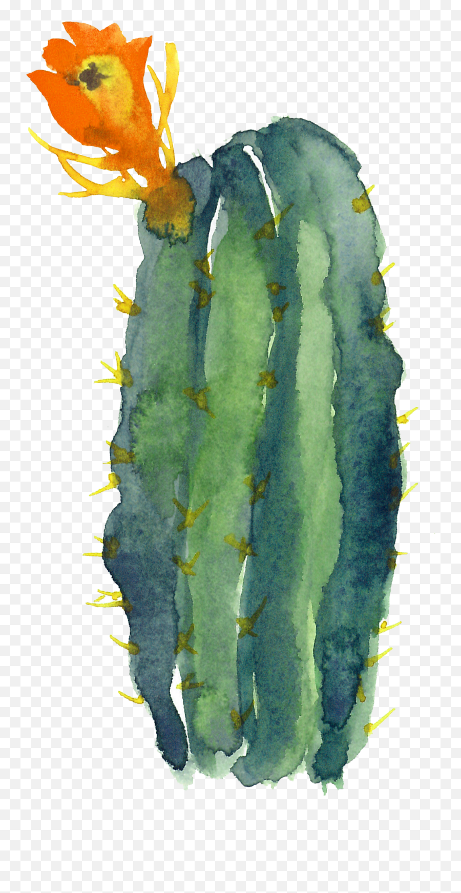 Pin Png Watercolor Cactus