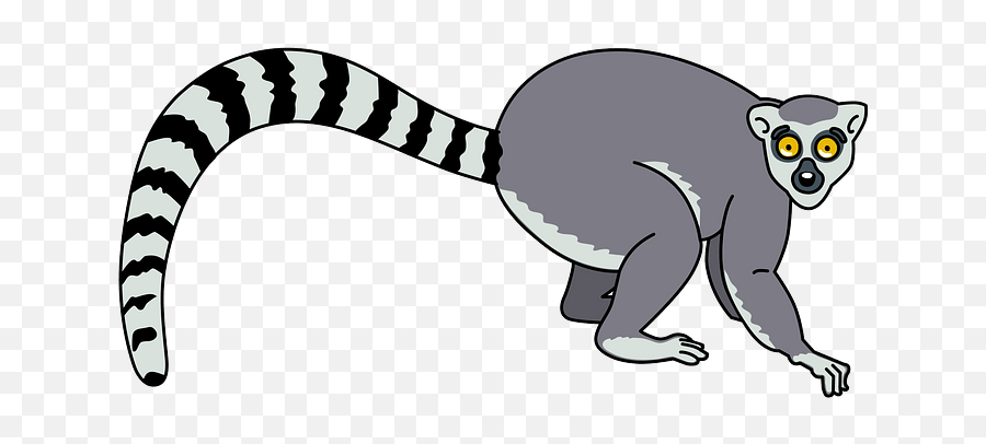 Free Lemur Cliparts Download Clip Art - Lemur Clipart Png,Lemur Png