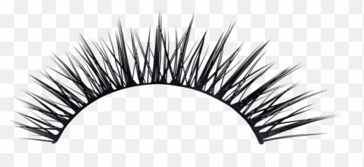 Clipart Transparent Background - Silk Lashes Vs Synthetic png