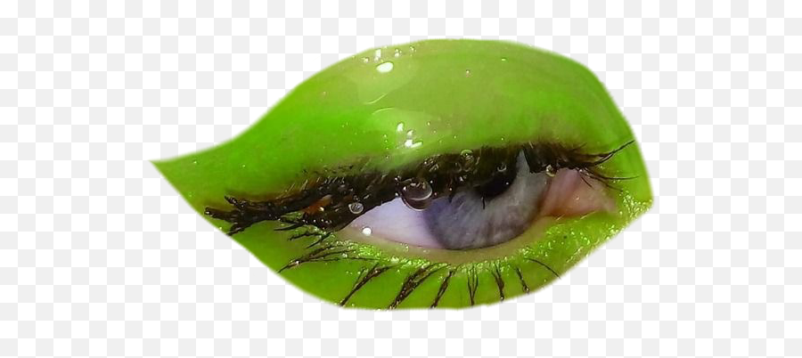 Eye Eyes Gloss Cute Aesthetic Makeup - Angelica Green Aesthetic Png,Makeup Png