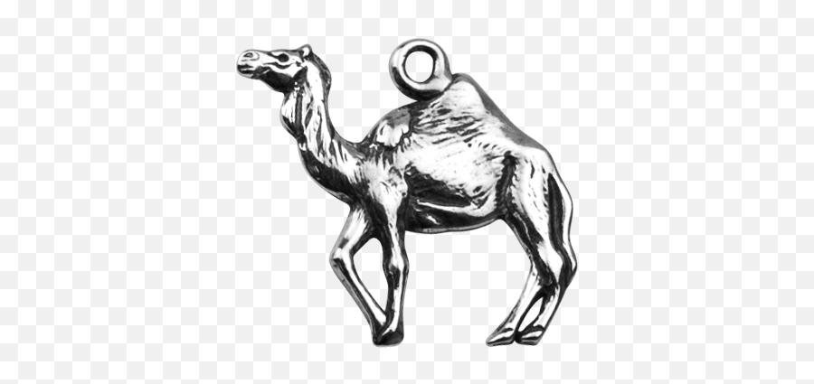 Dromedary Camel - Arabian Camel Png,Camel Png
