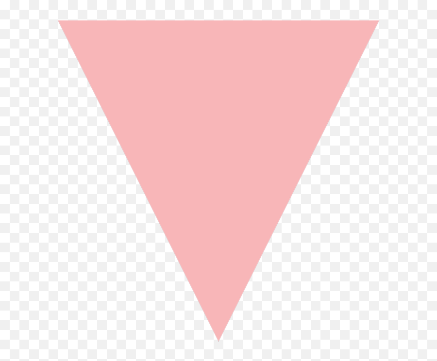 Meshell Ndegeocello - Pink Triangle Png,Triangle Png Transparent