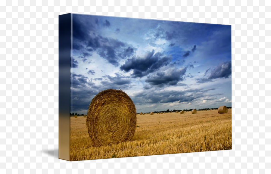 Hay Bale By George Fairbairn - Hay Png,Hay Bale Png