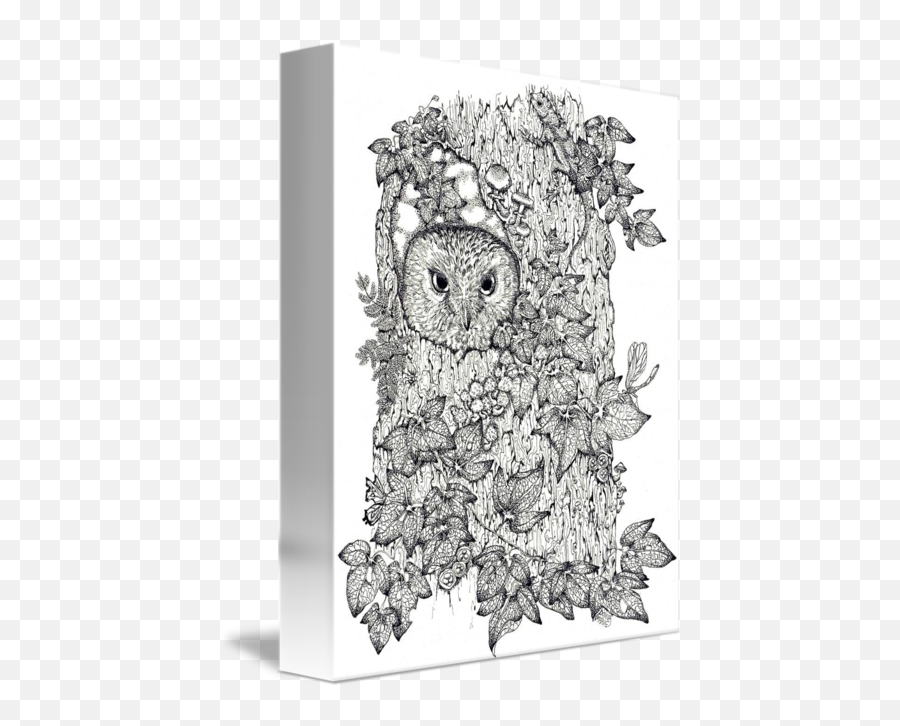 Touch Up Owl White Background No Date Little Darke By Donna Genovese - Doodle Png,Owl Transparent Background