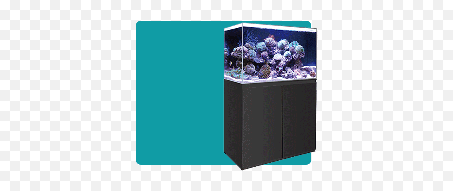 Fish Tank Pond U0026 Aquarium Supplies - Allpondsolutions Boyu Ha 600 Png,Fish Tank Png