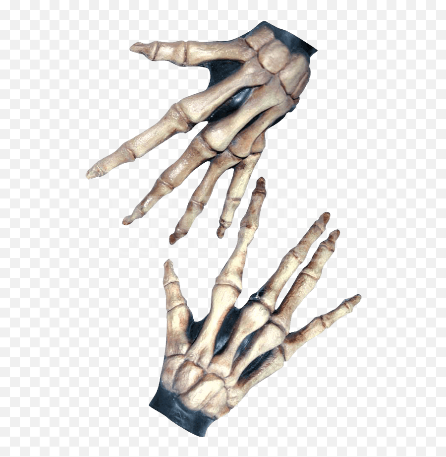 Skeleton Hands Png Picture - Bony Hands,Skeleton Hand Png