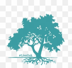 Active Full Lifecycle Investing - Hidden Meadows At Caro Estates png
