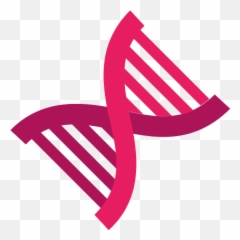 Nucleic Acid Double Helix - png