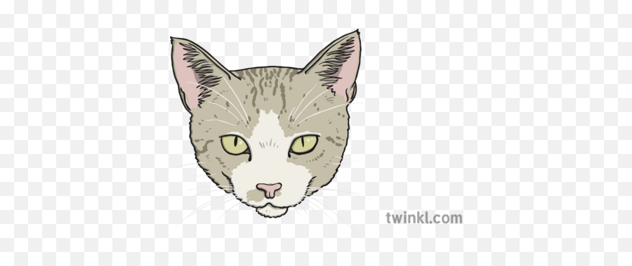 Cat Face Illustration - Domestic Cat Png,Cat Face Png
