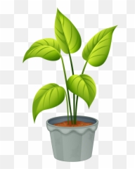 Flower Clipart Freeuse Stock Png Files - Name Non Flowering Plants