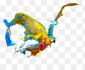 Art Graphic Design Png Image - Creative Transparent Logo