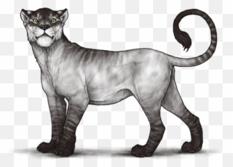 Lioden Wiki Special Markings - Lioden Feralis Png,Noctis Png