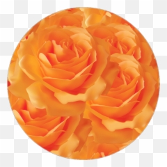 Circle Aesthetic Flowers Png - Orange