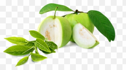 Guava Png Transparent Images - Transparent Guava Png,Guava Png