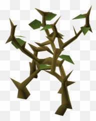Medium Jungle Old School Runescape Wiki Fandom - Jungle Music Png,Jungle Png