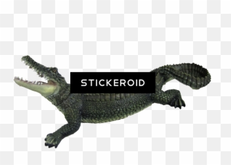 Png Download - Aldgate East Tube Station,Alligator Transparent
