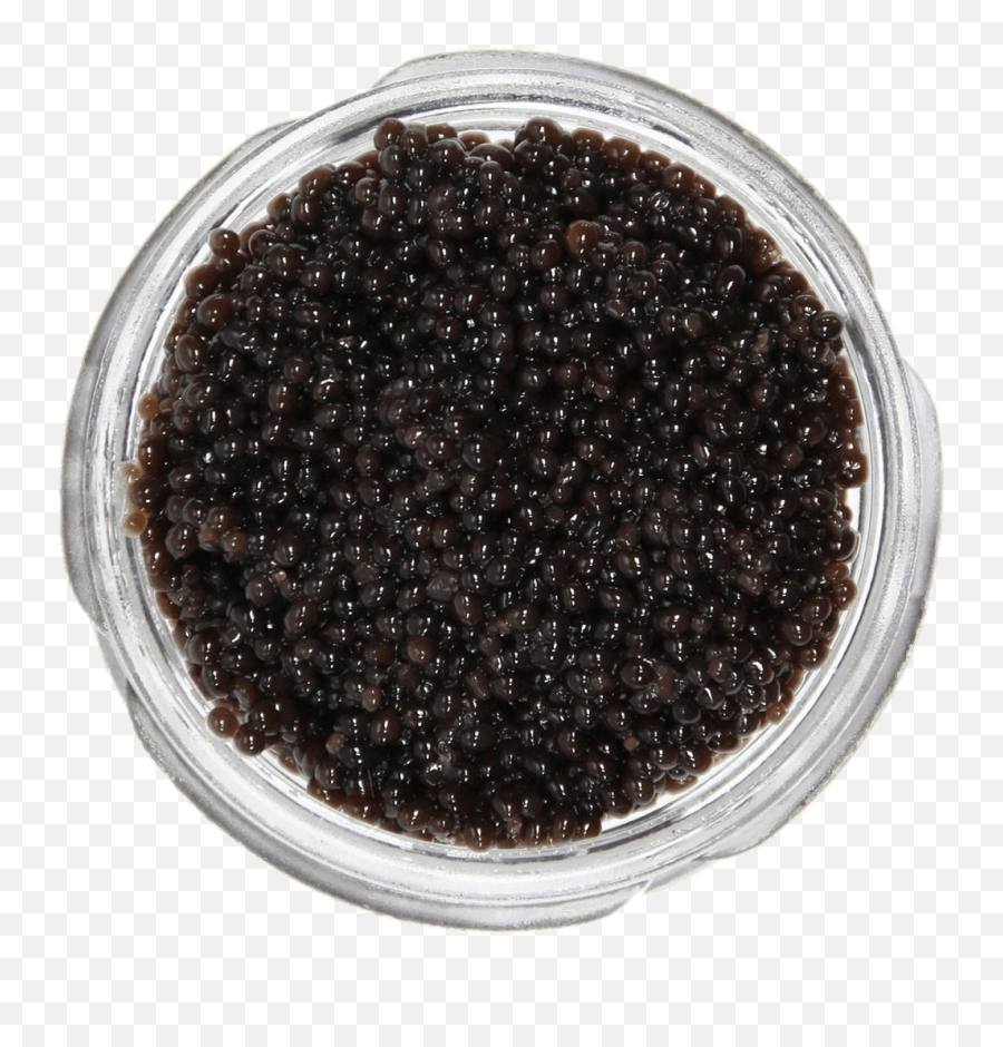 Jar Of Caviar Transparent Png - Bowfin Caviar,Caviar Png