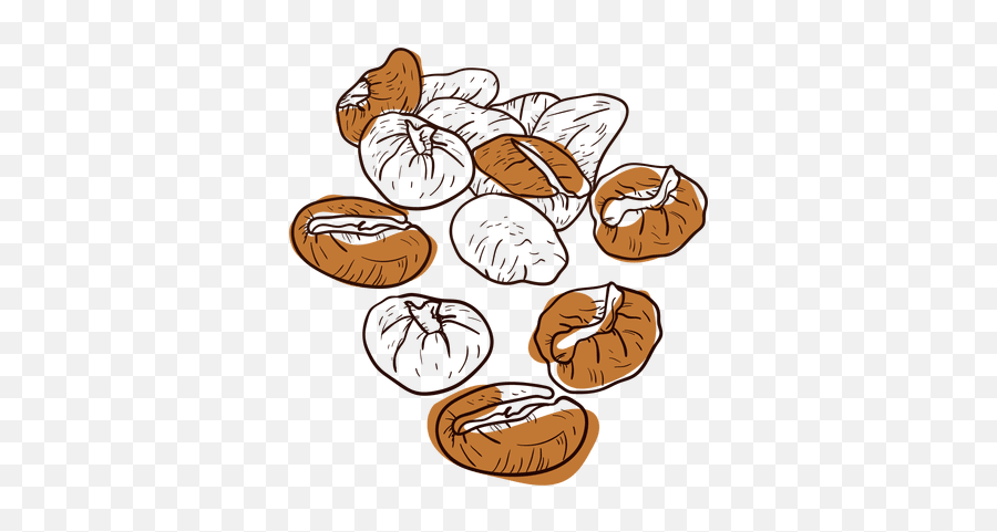 Transparent Png Svg Vector File - Coffee Beans Illustration Png,Beans Png