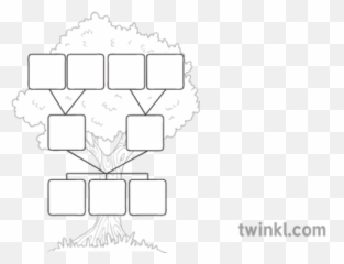 Family Tree Template Black And White Illustration - Twinkl And png