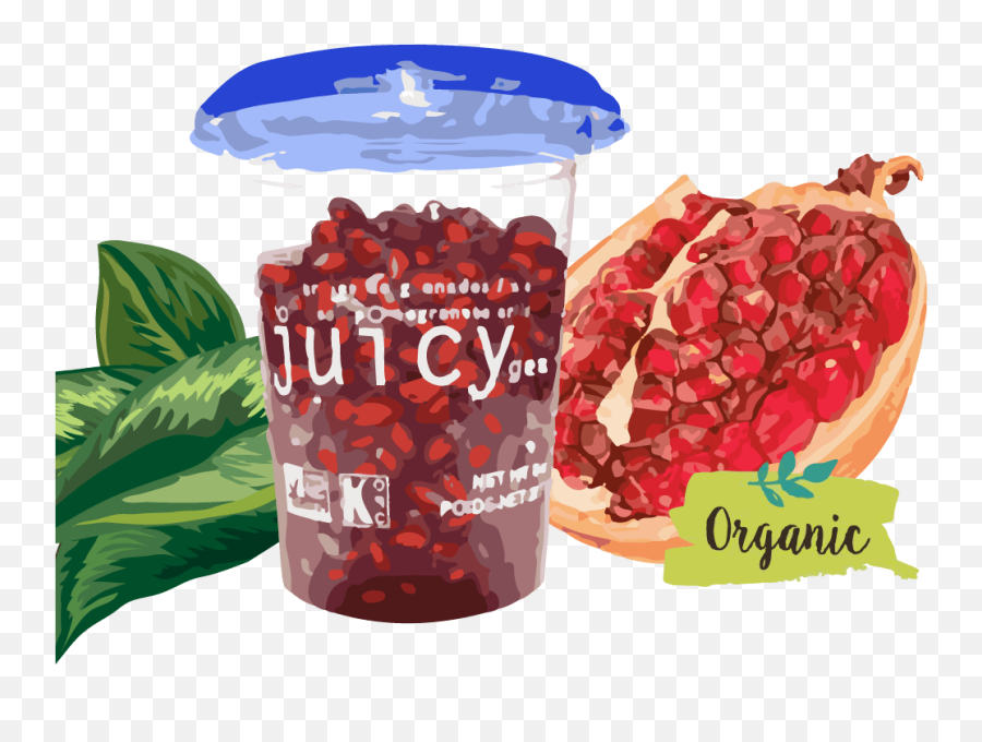 Juicy Gems U2013 A Delicious Yet Healthy Snack - Juicy Pomegranate Png,Pomegranate Icon