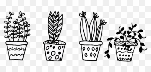 Download Free Png Plants Flowerpot Cacti - Free Image On Plants Black And White,Cacti Png