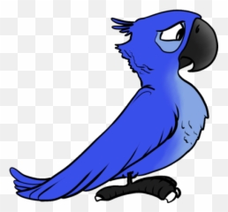 Angry Birds Rio Psd Free Download - png