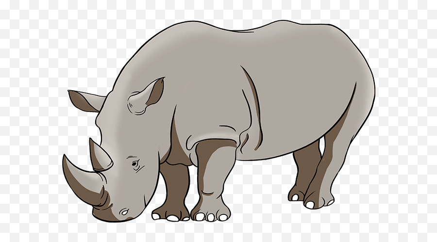 How To Draw A Rhino - Really Easy Drawing Tutorial Draw A Rhino Easy Step Png,Rhino Icon